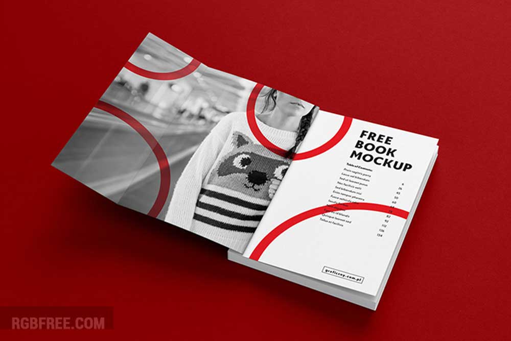 Free-book-mockup-55