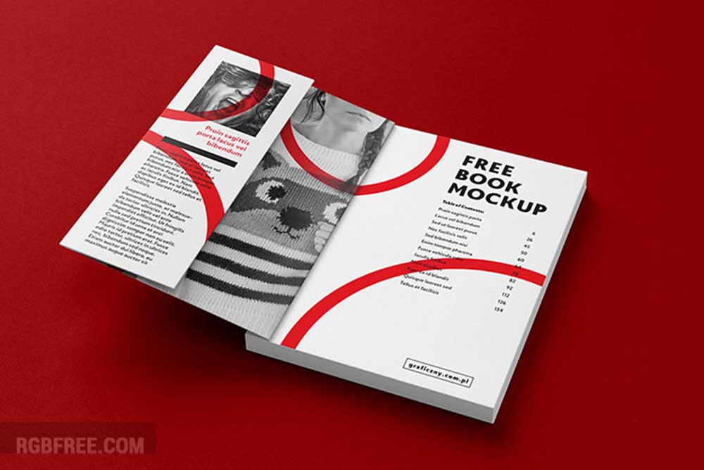 Free-book-mockup-56