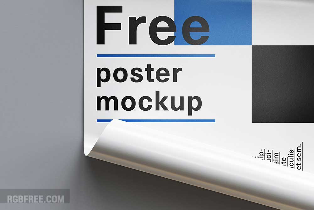 Free-rolled-poster-mockup-10
