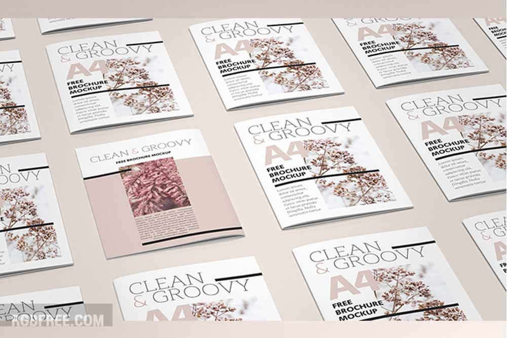 Free A4 Catalog mockup