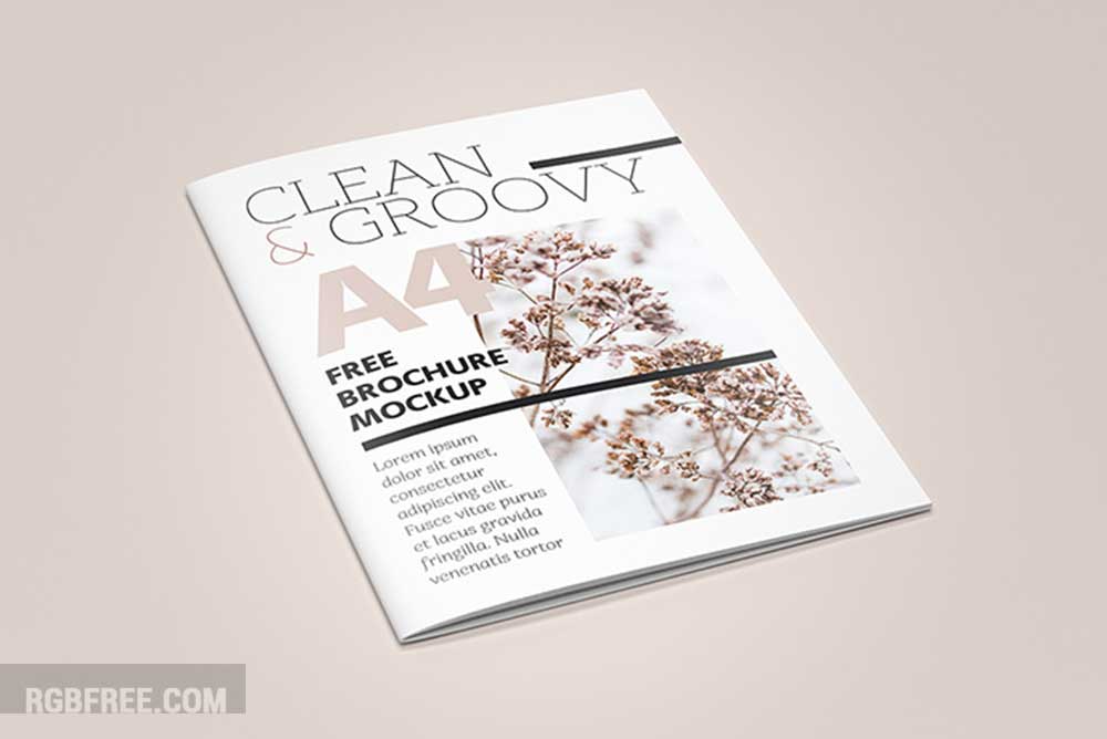 Free-A4-Catalog-mockup-6